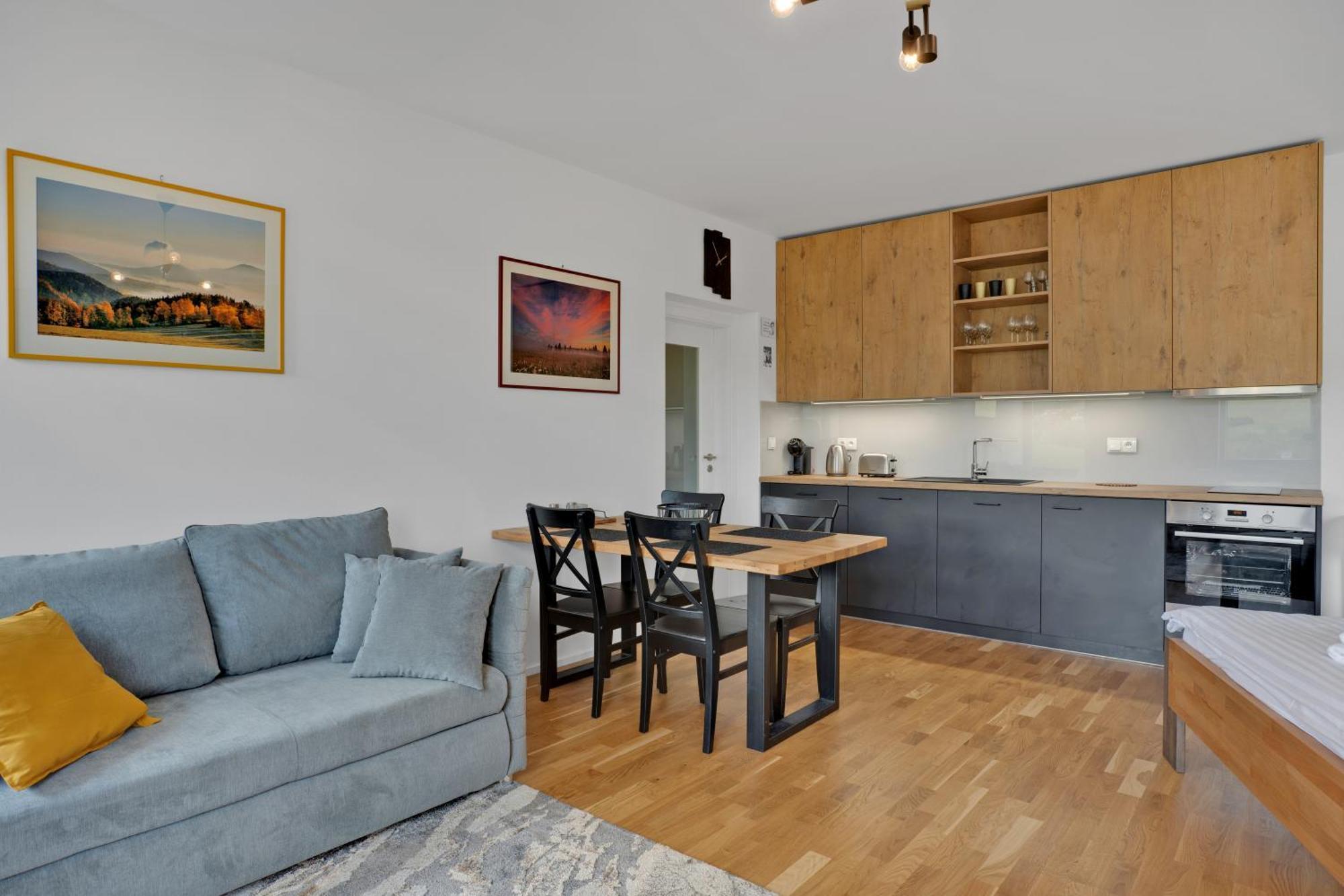 Meadows Apartments Klinovec Loučná pod Klínovcem Zewnętrze zdjęcie